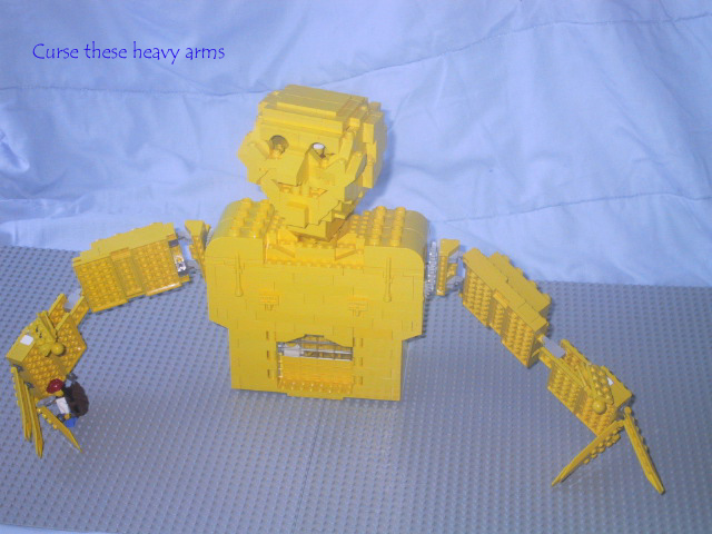 coltorso2.jpg