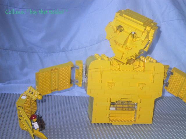 coltorso3.jpg