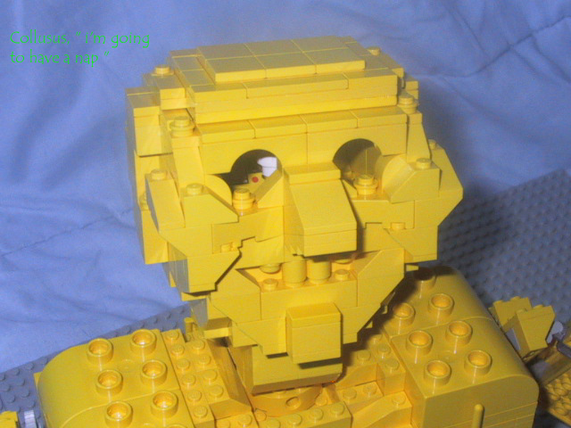 coltorso7.jpg