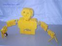 coltorso2.jpg