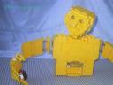 coltorso3.jpg