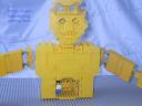 coltorso5.jpg