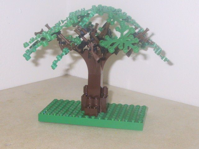 tree.jpg