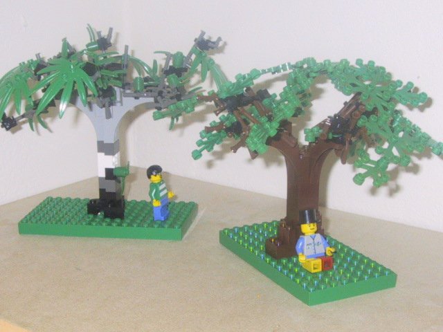 twotrees.jpg
