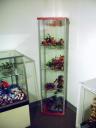 dsc01184.jpg