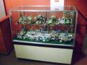 dsc01185.jpg