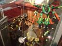dsc01191.jpg