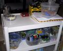 collection_4.jpg