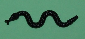 snake-black.jpg