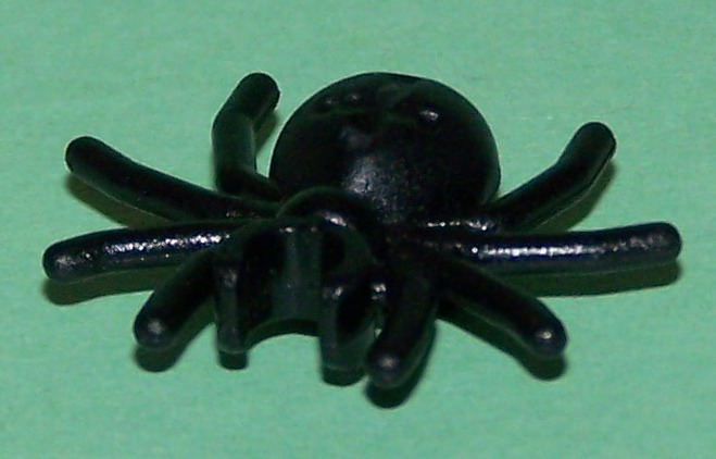 spider-black.jpg