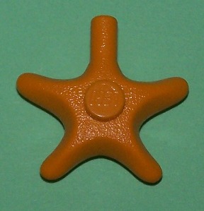 starfish-medium-orange.jpg