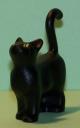 cat-stand-eyes-black.jpg