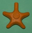 starfish-medium-orange.jpg