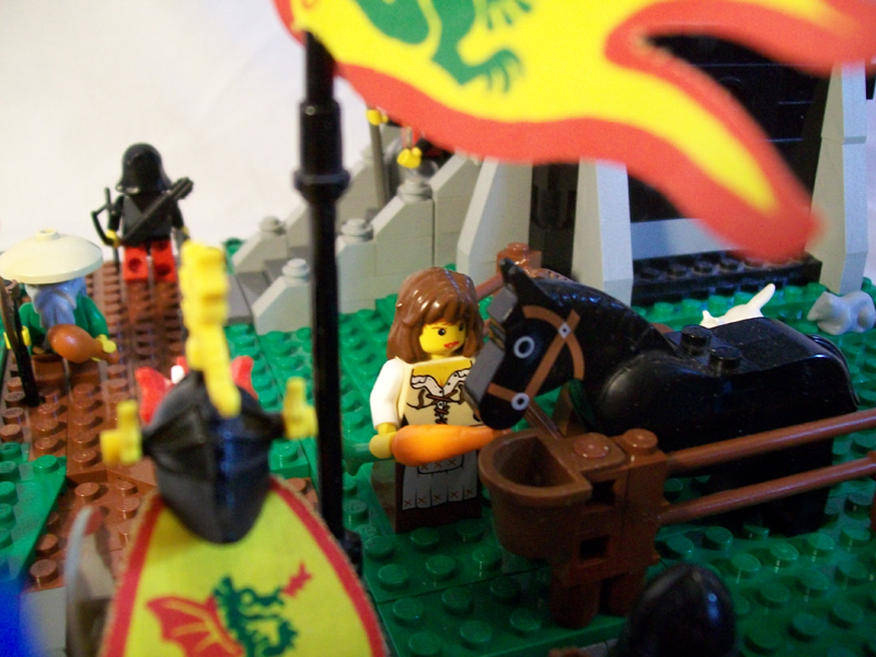 dragon-masters-outpost-011.jpg