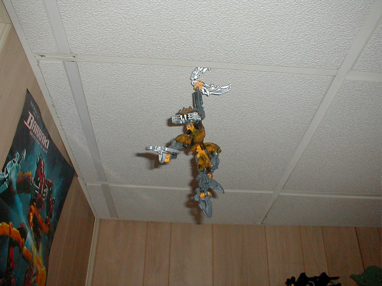 p1010020.jpg
