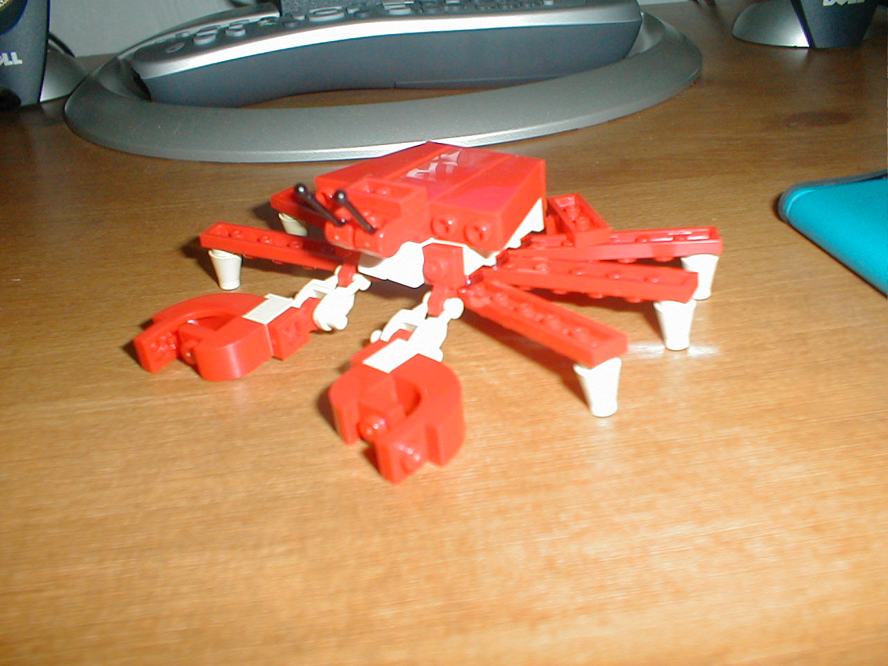 p1010031.jpg