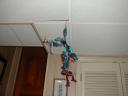 p1010018.jpg