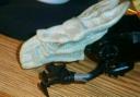 alien2.2.jpg