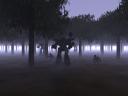forest_1024.jpg