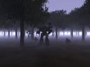 forest_320.jpg
