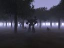 forest_640.jpg