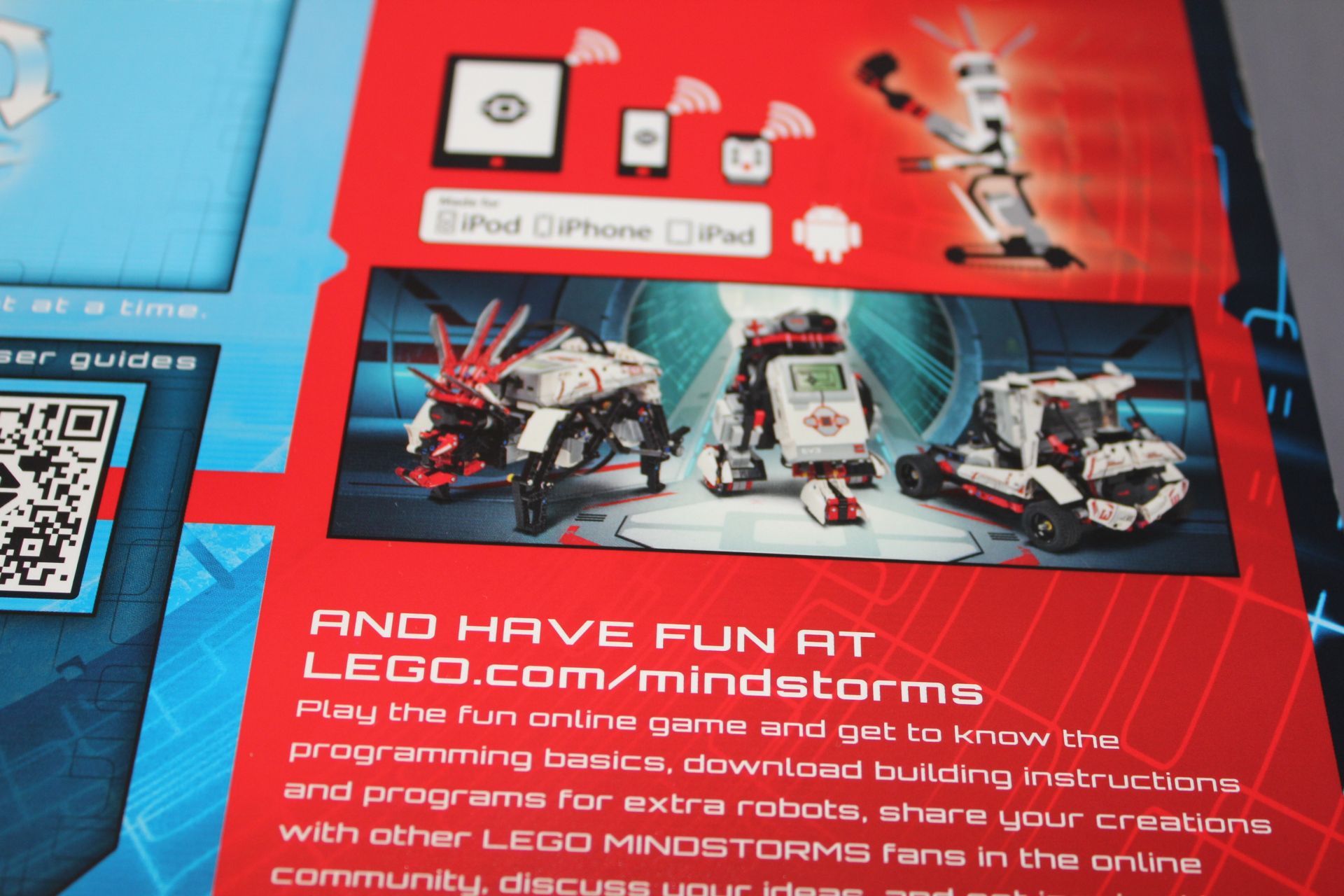 31313-p10.jpg
