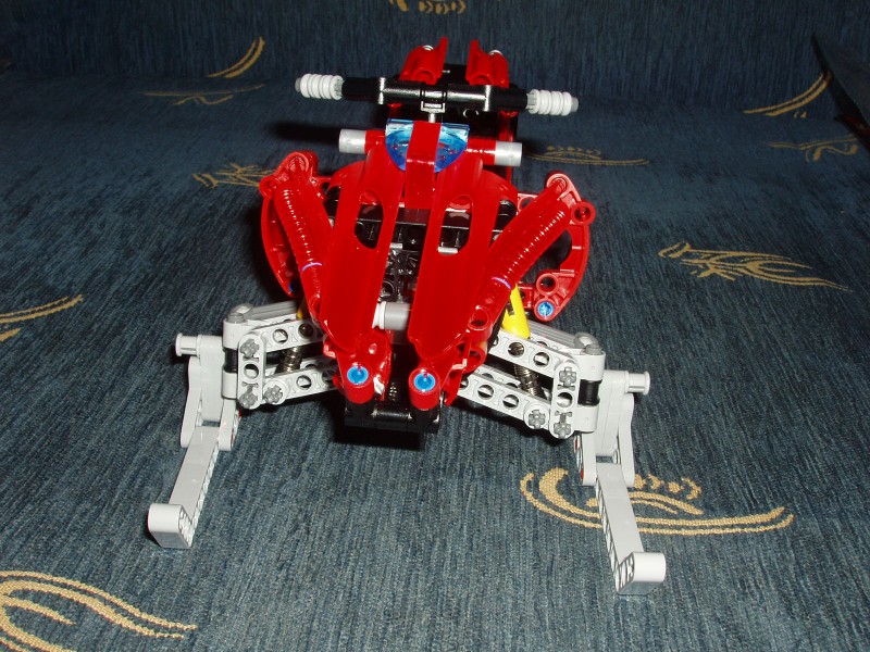 8272-17.jpg