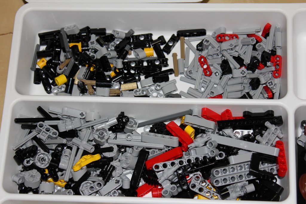 9397-p53.jpg