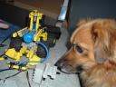 MySmallDog