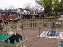 dcp_0028.jpg