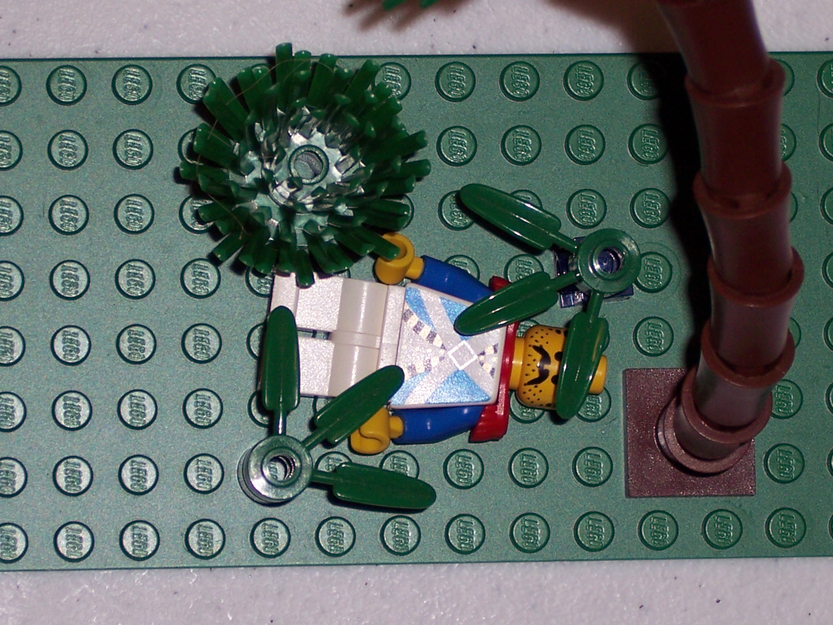 100_1566.jpg