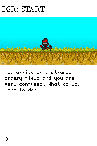 dsrstart.gif