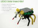 insect-bot_prezentacja_2.jpg