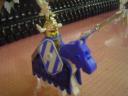 dsc02009.jpg
