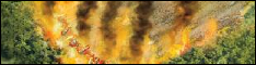 forest_fire.png