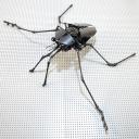 TechnicWaterStrider