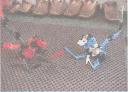 mocs