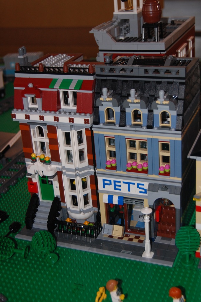 18-pet-store.jpg