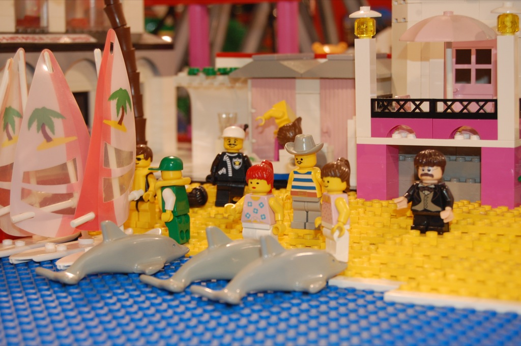 06-dolphin-greet.jpg