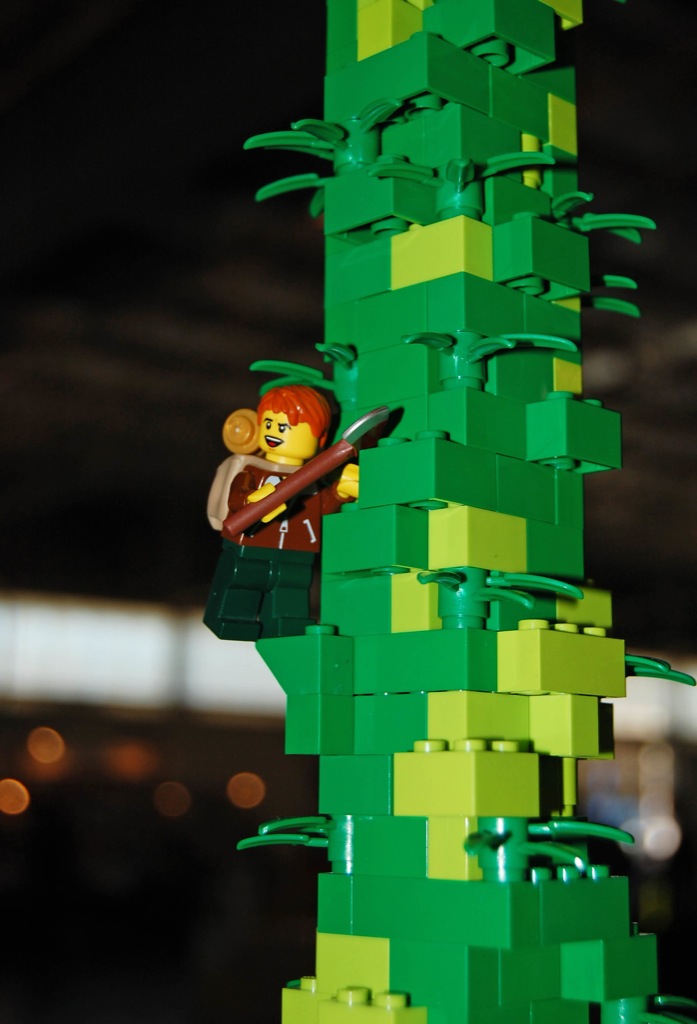 24-jack_beanstalk.jpg