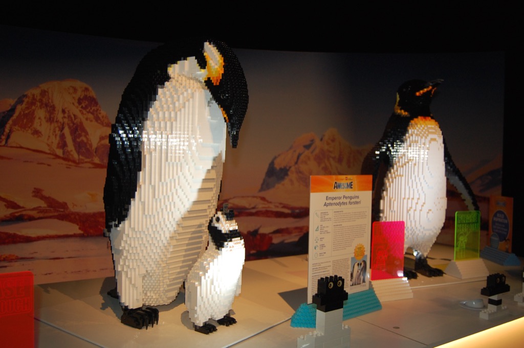 emperor_penguins.jpg
