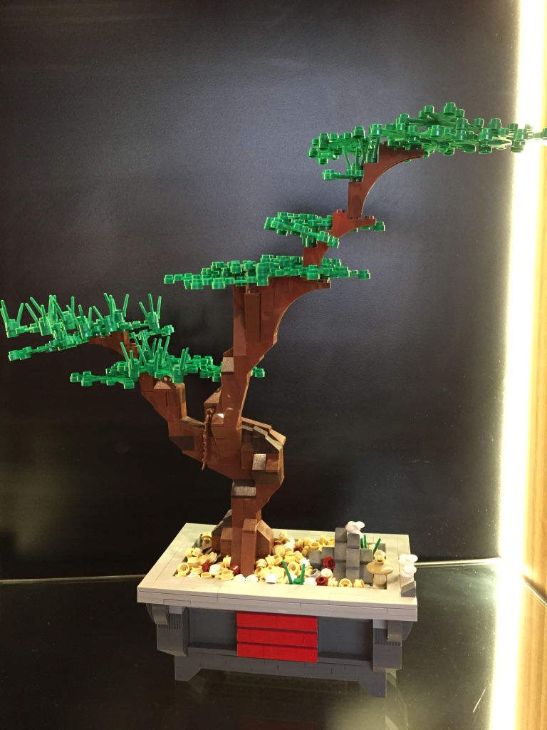 bonsai-by-david.jpg