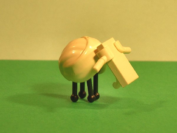 sheep_2.jpg