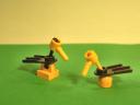 bird_duck.jpg