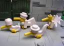 bird_gull_1.jpg