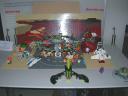 nsc2011_irenes_display.jpg