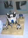nsc2011_tims_display3.jpg