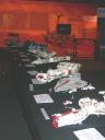 nsc2011_ucs_sw_display1.jpg