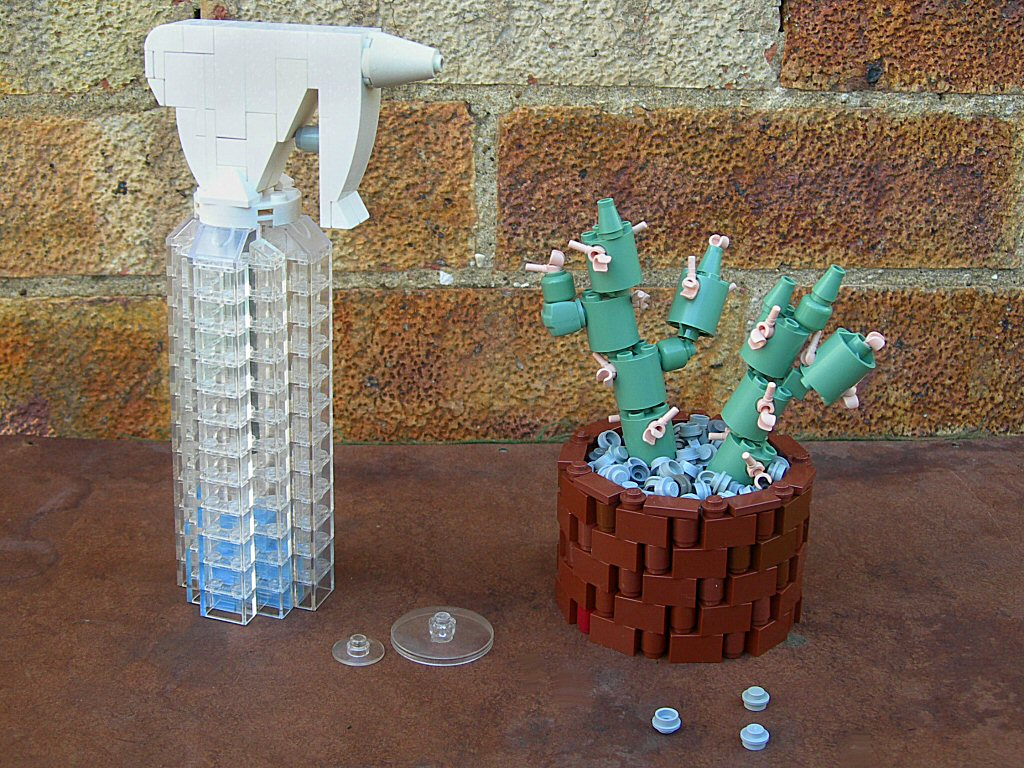 cactus1.jpg
