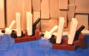 dscn5604.jpg